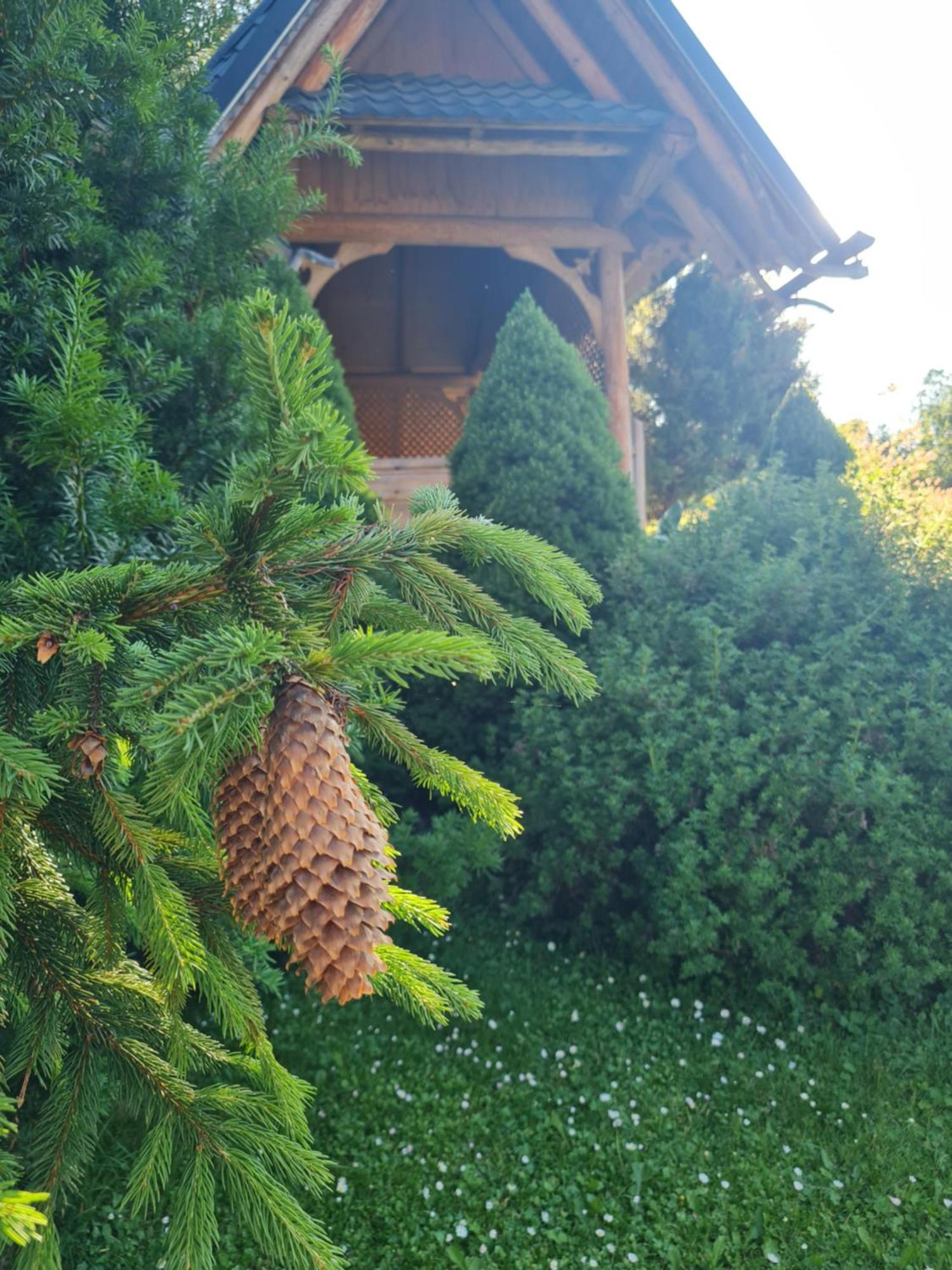 Apartamenty Przy Srodkowej 53 Białka Tatrzańska Extérieur photo